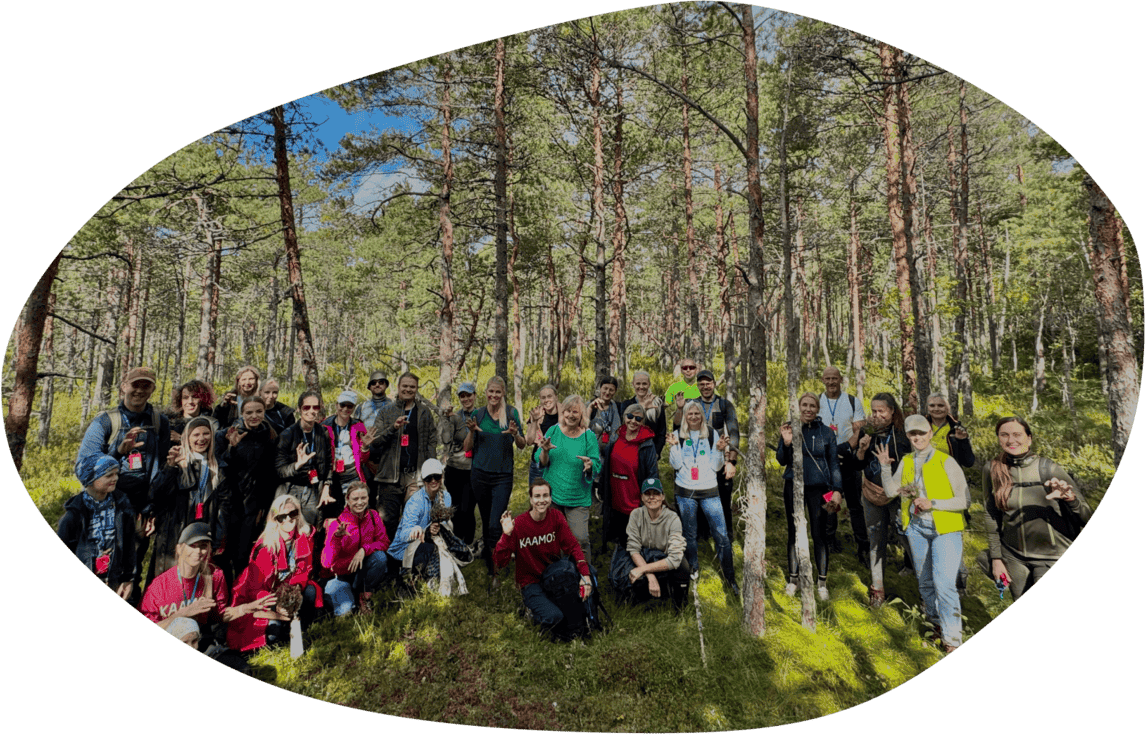 Rohetiigri 5. sünnipäev