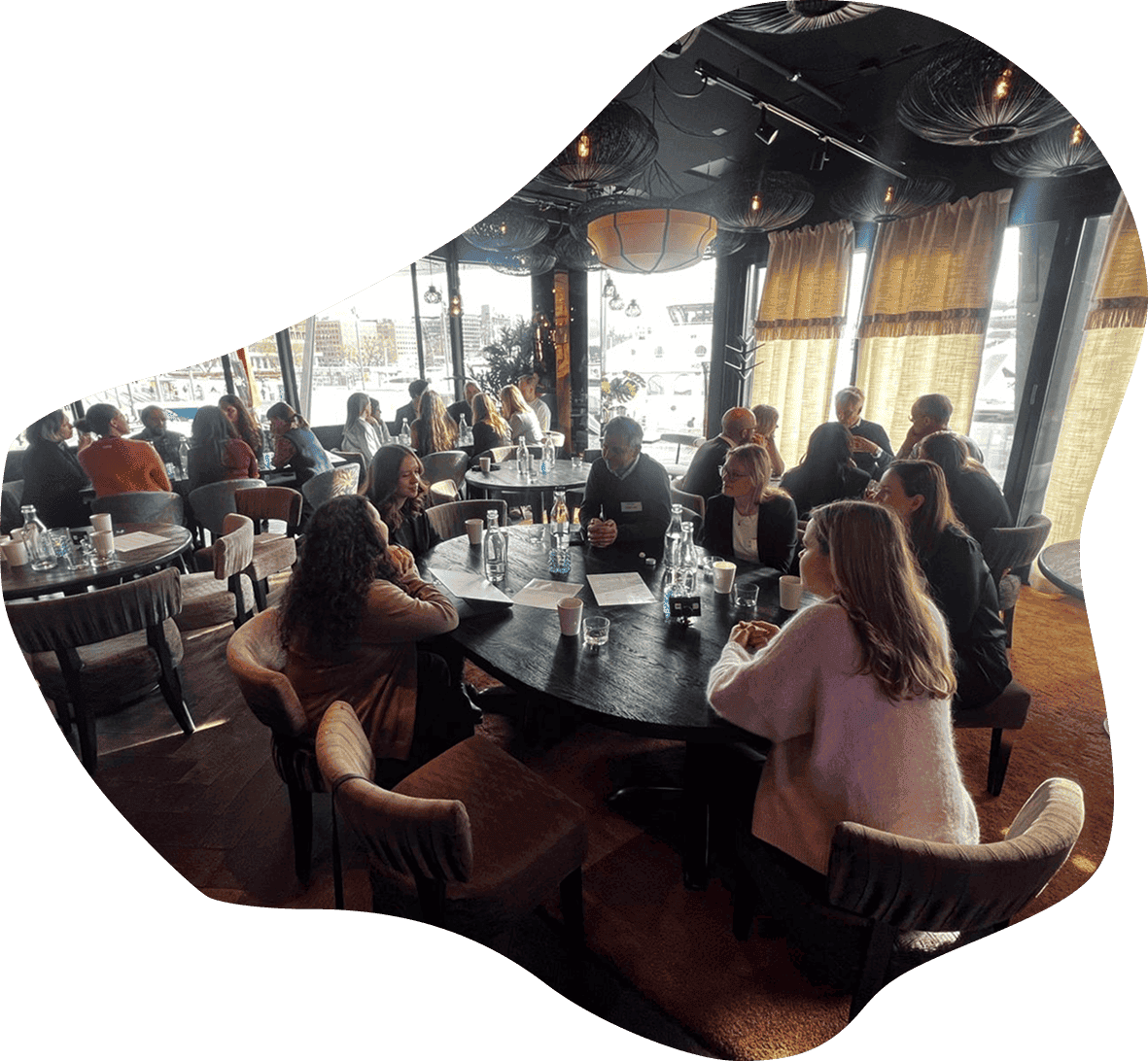 Kohtumine Norra rohetiigriga